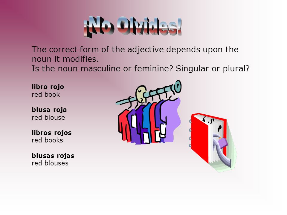 ¡No Olvides! The correct form of the adjective depends upon the noun it modifies. Is the noun masculine or feminine Singular or plural