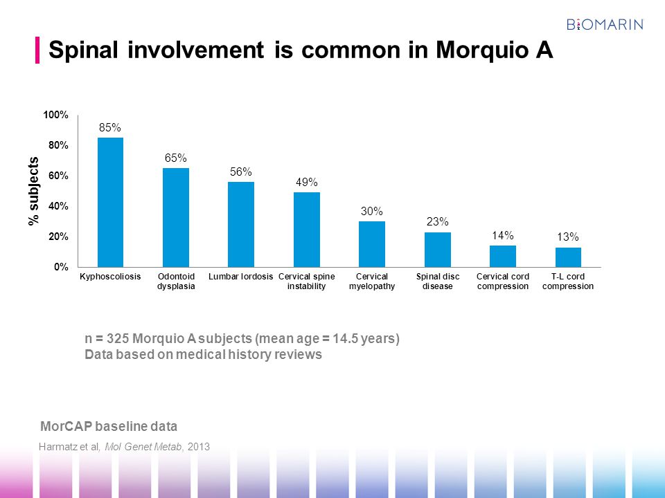 Spinal involvement is common in Morquio A