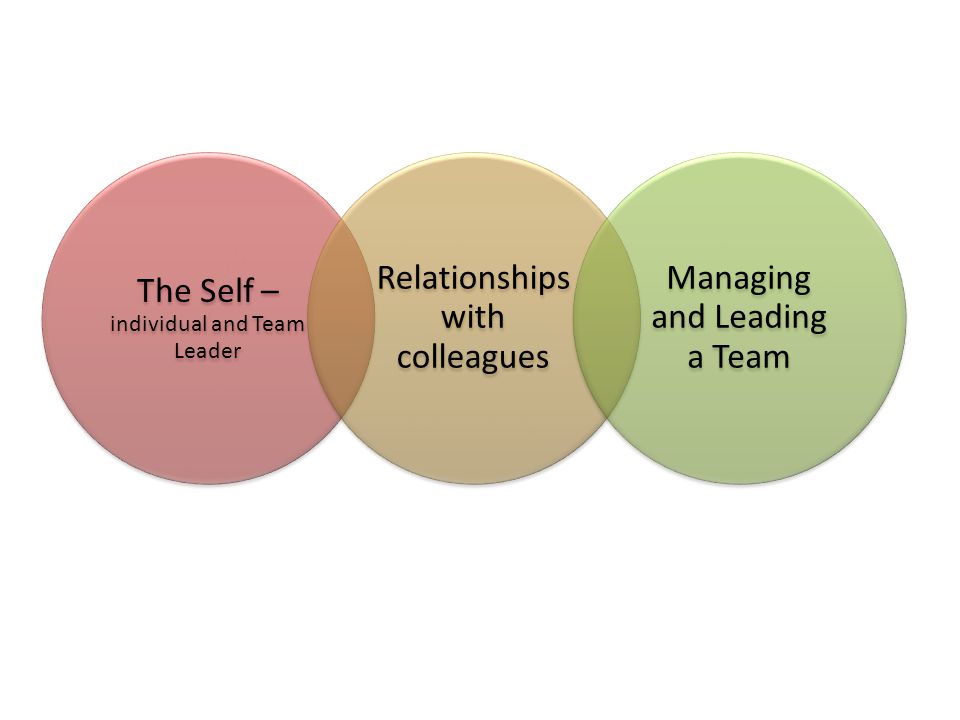 The Self – individual and Team Leader Relationships with colleagues