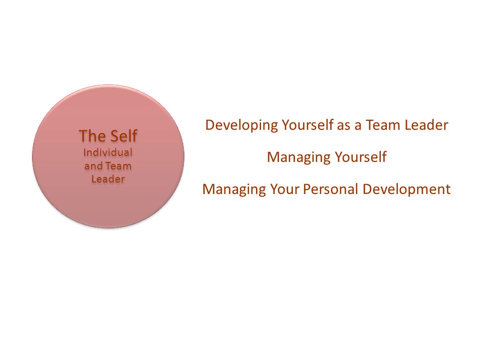 The Self Individual and Team Leader
