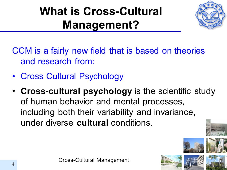 Cross Cultural Management Ppt Video Online Download