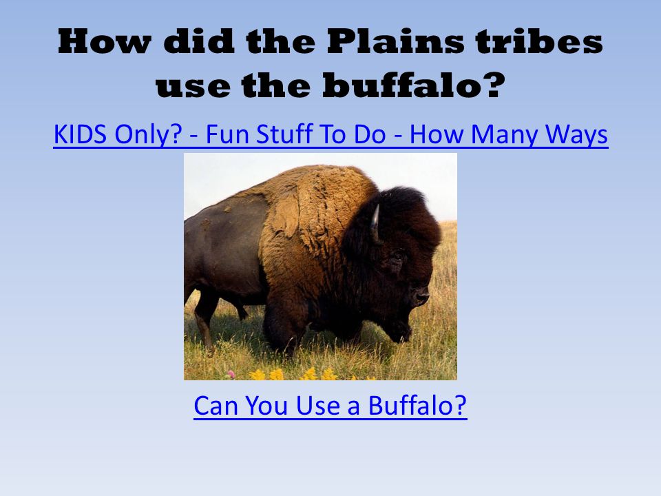 How did the Plains tribes use the buffalo
