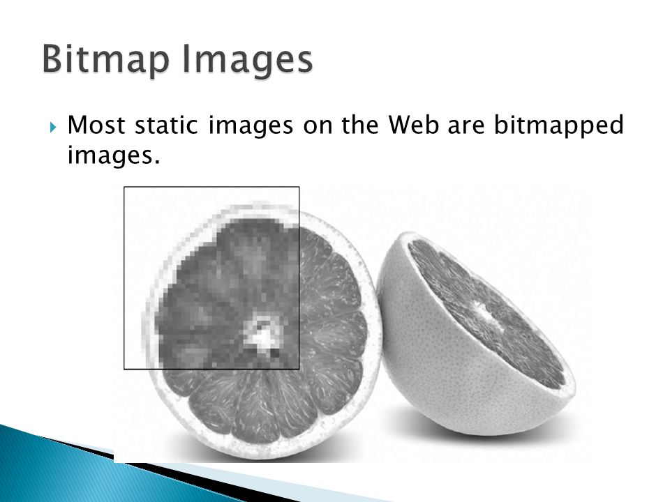Bitmap Images Most static images on the Web are bitmapped images.