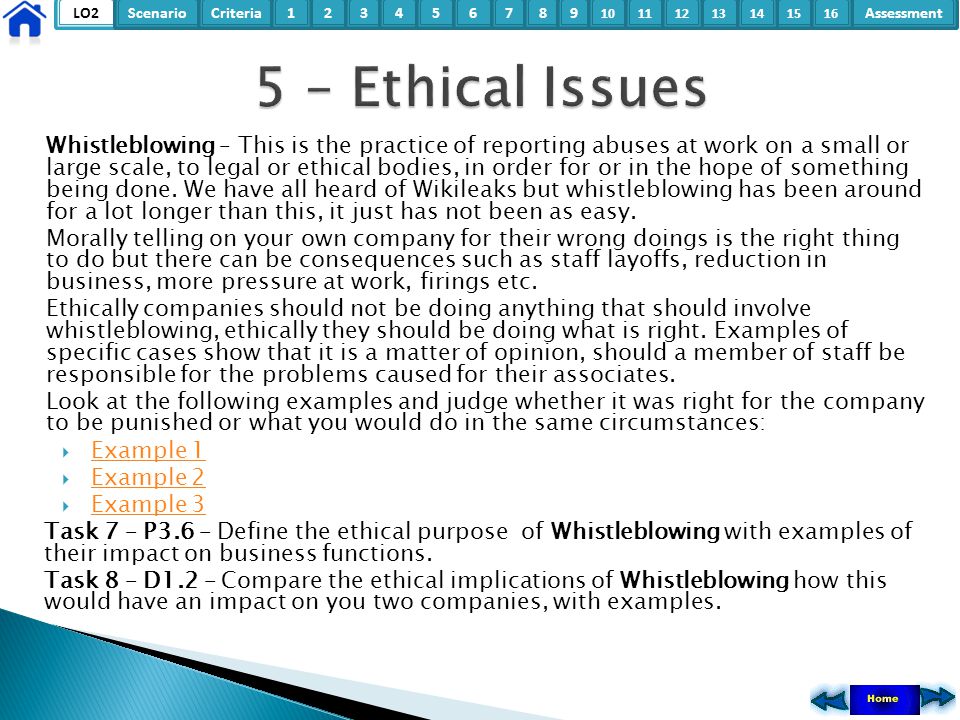 wikileaks ethical issues
