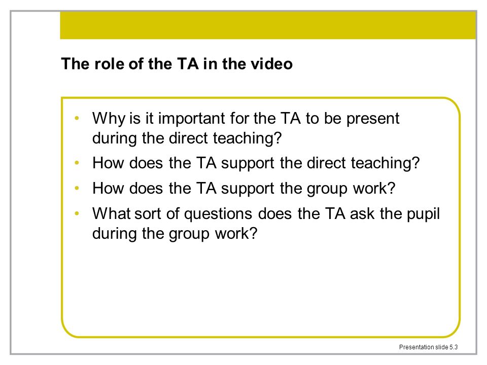 The role of the TA in the video