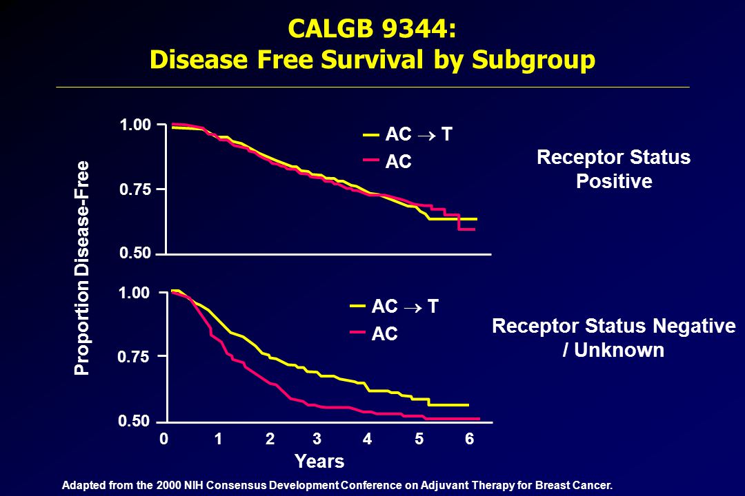 CALGB 9344: Disease Free Survival by Subgroup