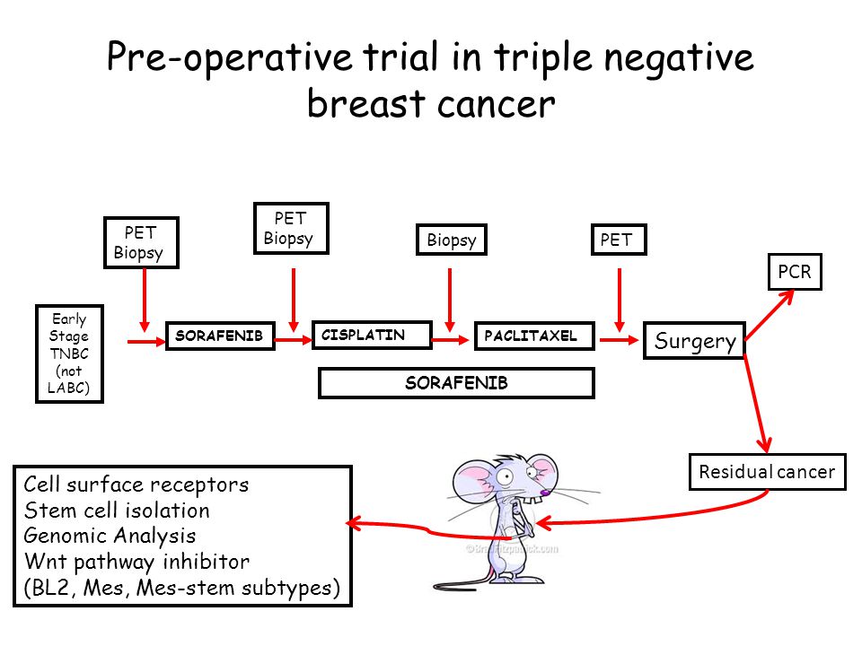 Pre-operative trial in triple negative breast cancer