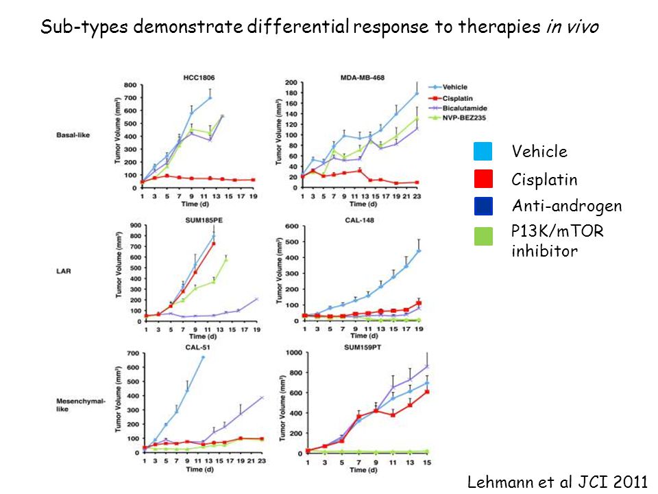 Sub-types demonstrate differential response to therapies in vivo