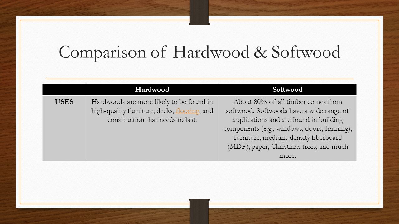 Comparison of Hardwood & Softwood