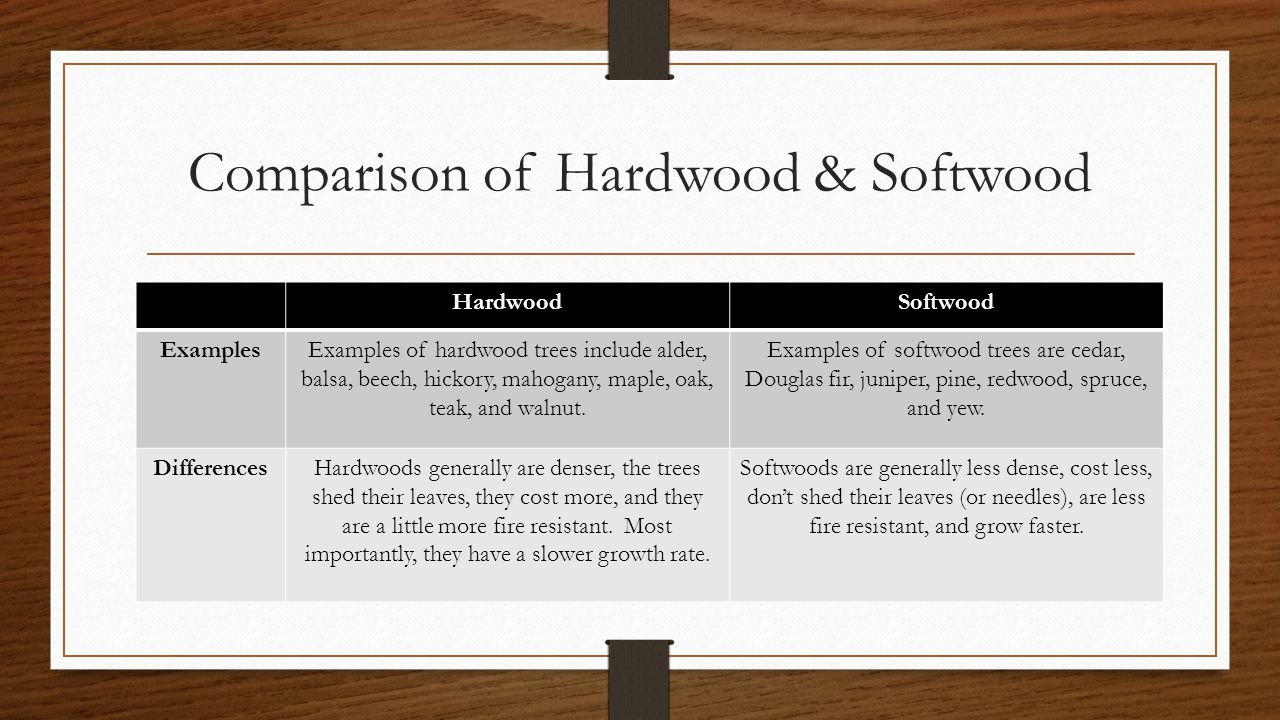 Comparison of Hardwood & Softwood
