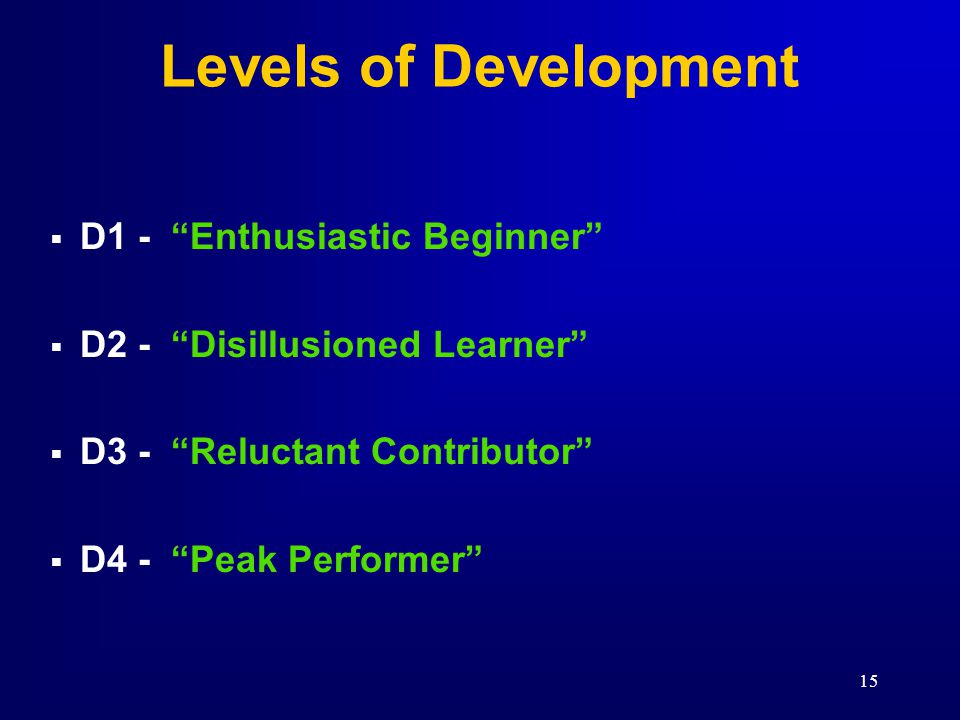 Levels of Development D1 - Enthusiastic Beginner