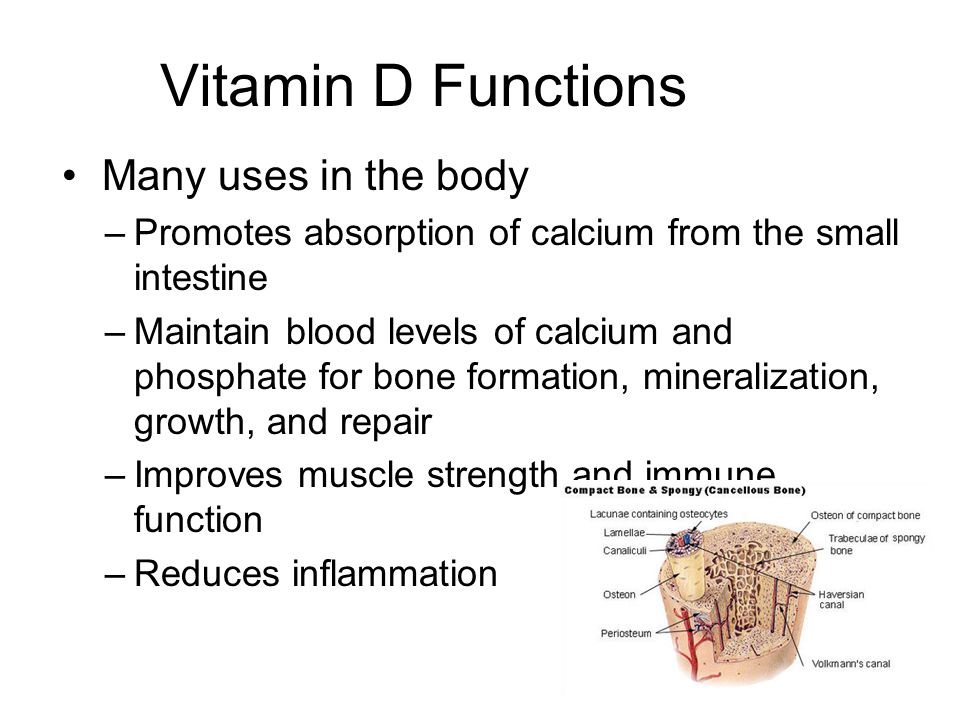 Vitamin D Fat Soluble Vitamin Sources Foods Supplements