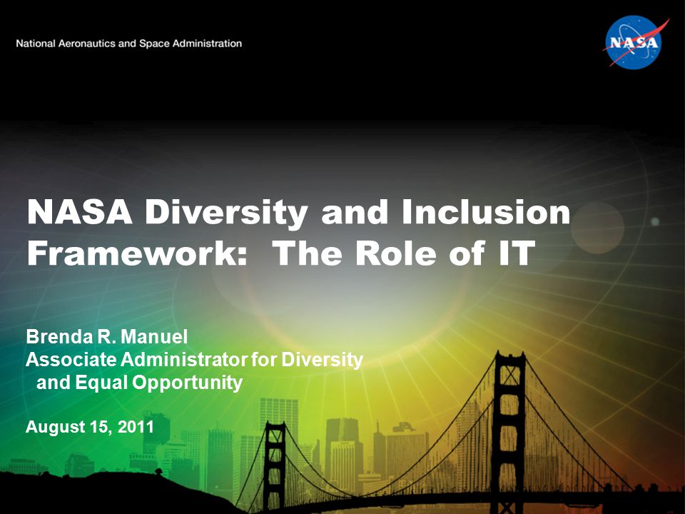 NASA Diversity and Inclusion Framework: The Role of IT