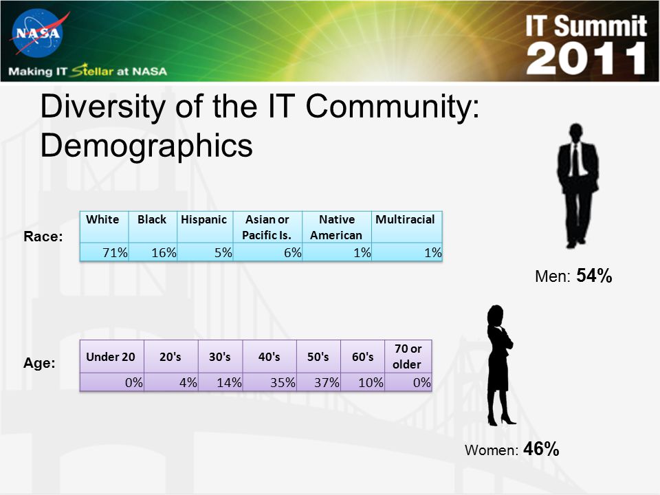 Diversity of the IT Community: Demographics