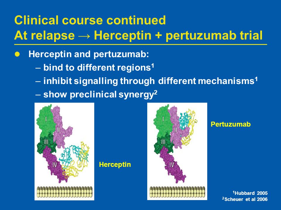Clinical course continued At relapse → Herceptin + pertuzumab trial