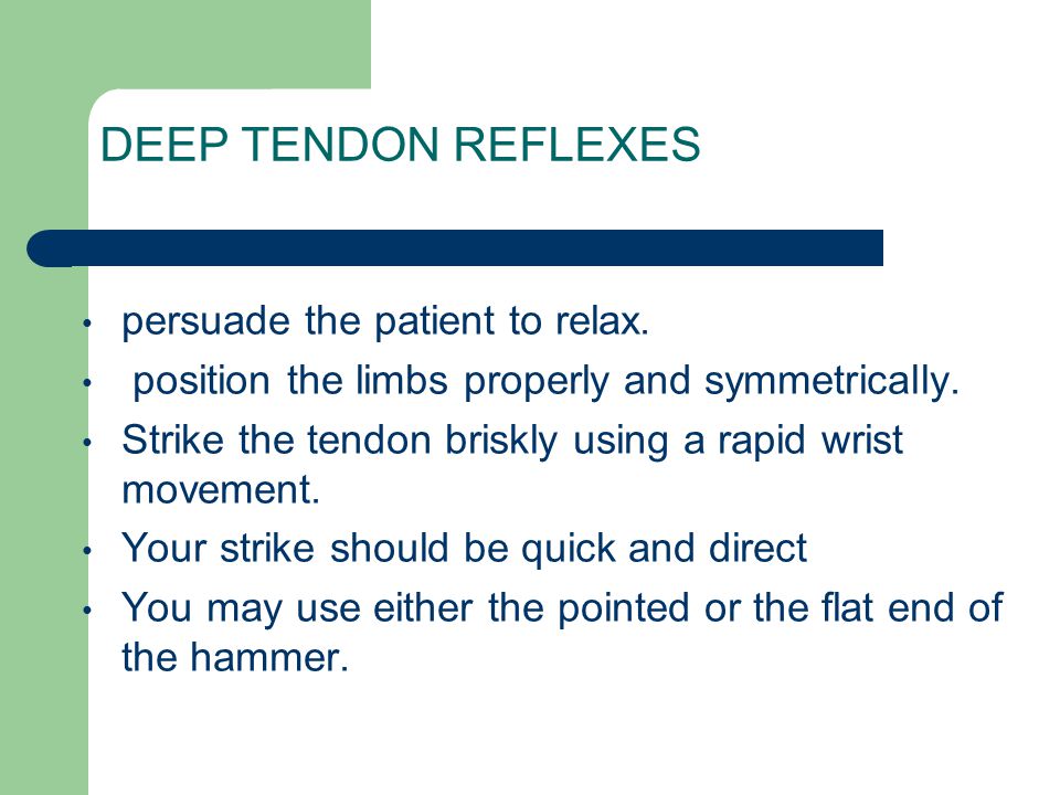 Physical Assessment: Deep Tendon Reflexes