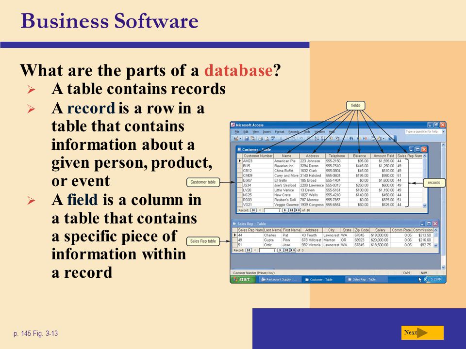 Business Software What are the parts of a database