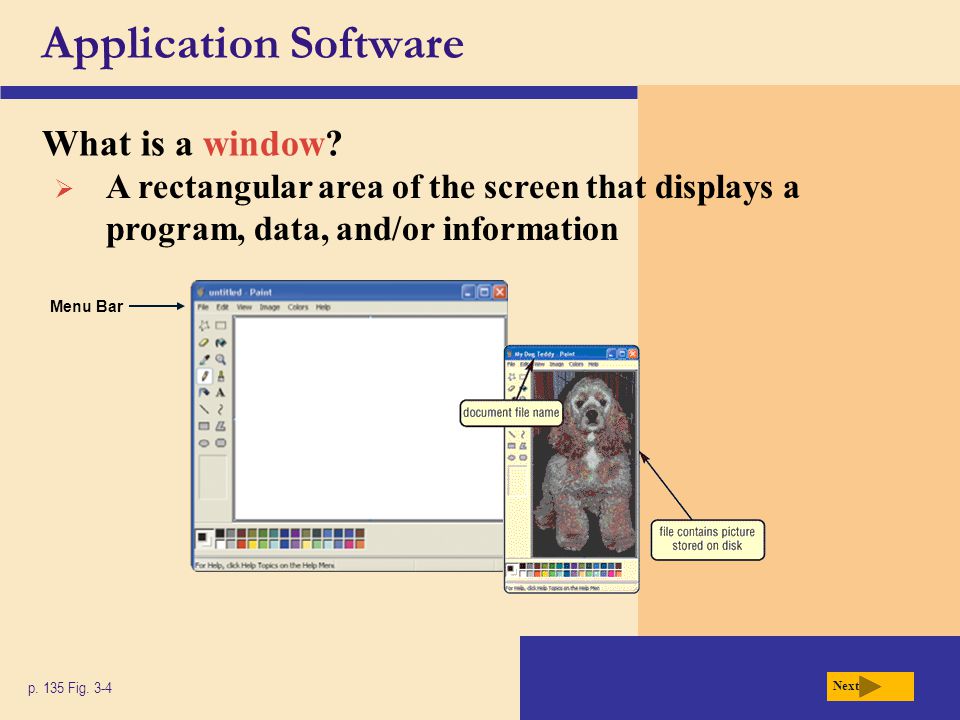 Application Software What is a window