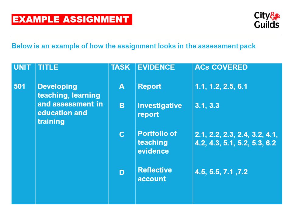 EXAMPLE ASSIGNMENT UNIT 501 TITLE