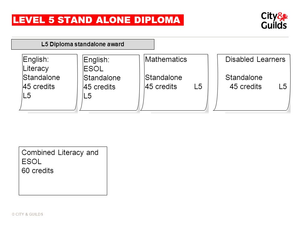 LEVEL 5 STAND ALONE DIPLOMA