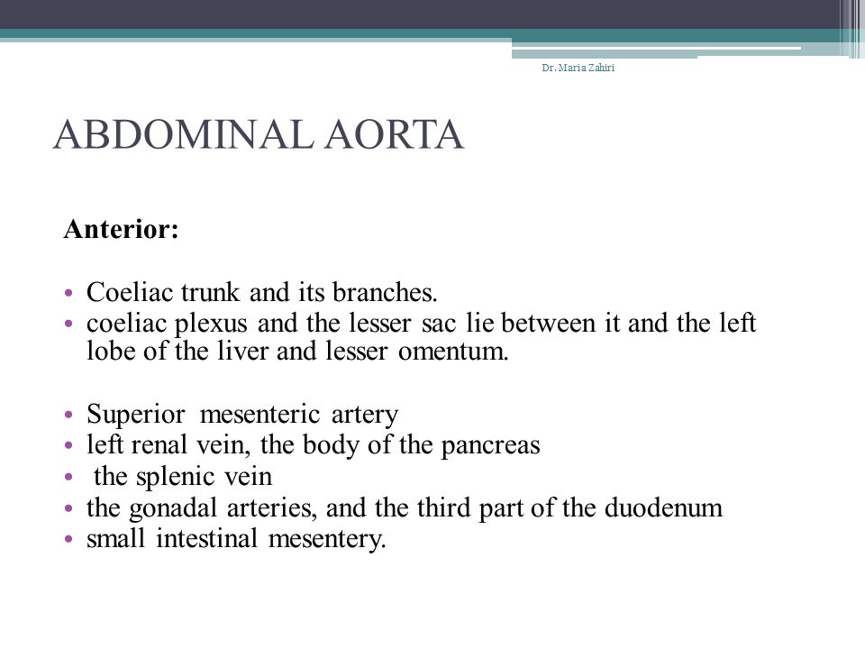 visceral branches of abdominal aorta