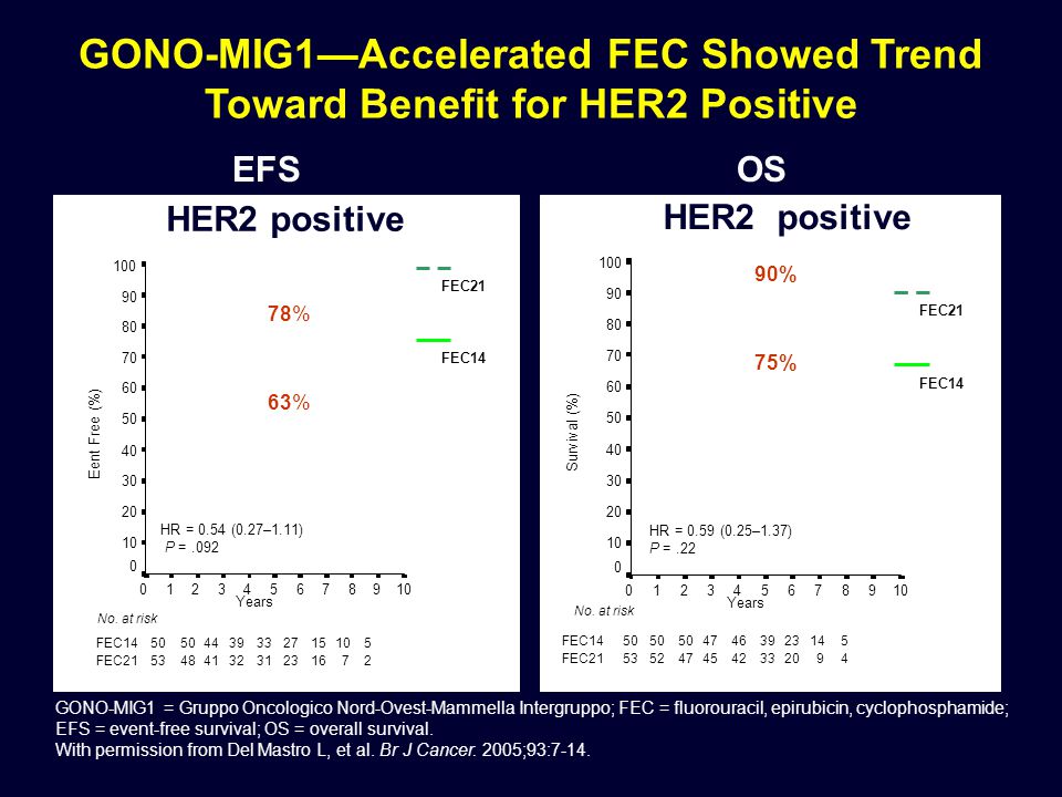 GONO-MIG1—Accelerated FEC Showed Trend Toward Benefit for HER2 Positive