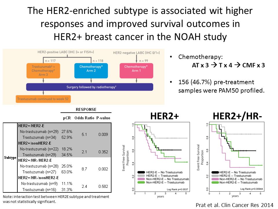 The HER2-enriched subtype is associated wit higher responses and improved survival outcomes in HER2+ breast cancer in the NOAH study