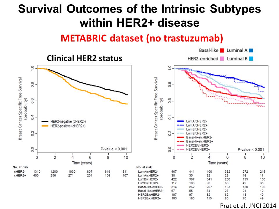 Survival Outcomes of the Intrinsic Subtypes within HER2+ disease