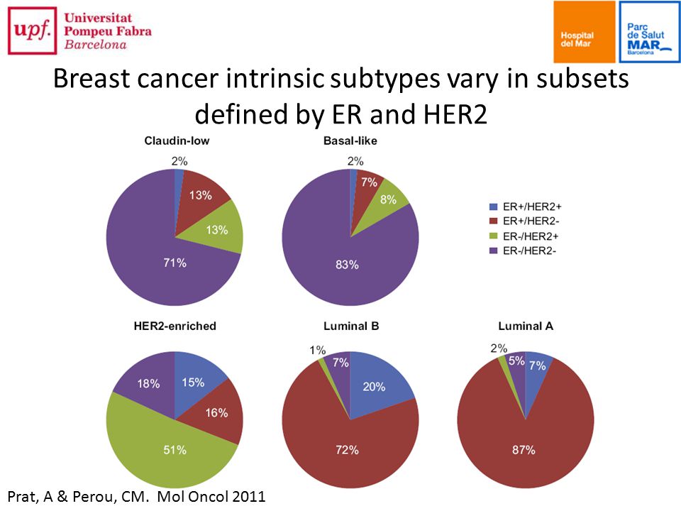 Breast cancer intrinsic subtypes vary in subsets defined by ER and HER2