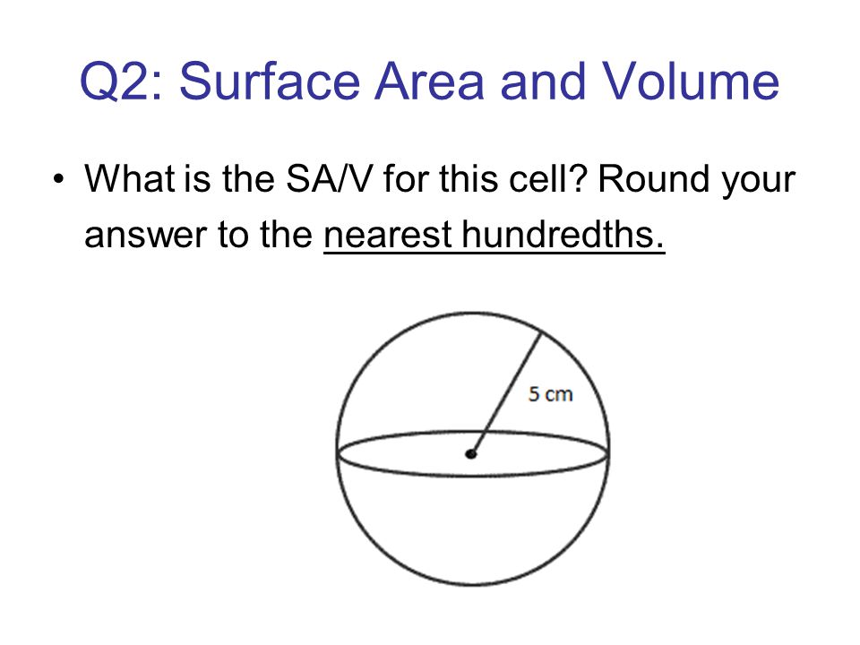 Q2: Surface Area and Volume