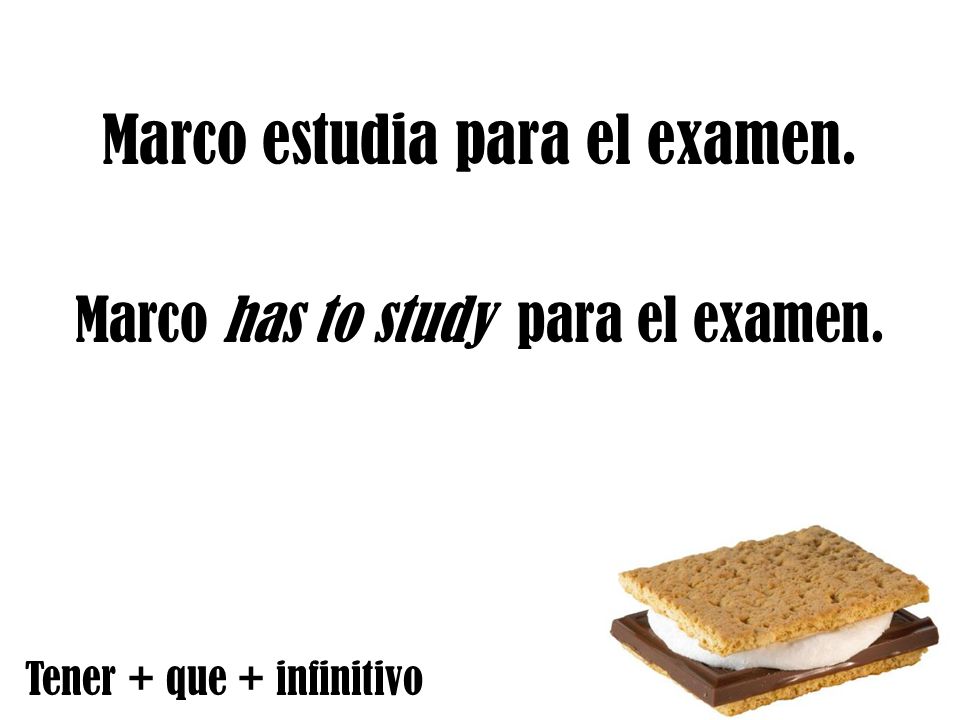 Marco estudia para el examen.