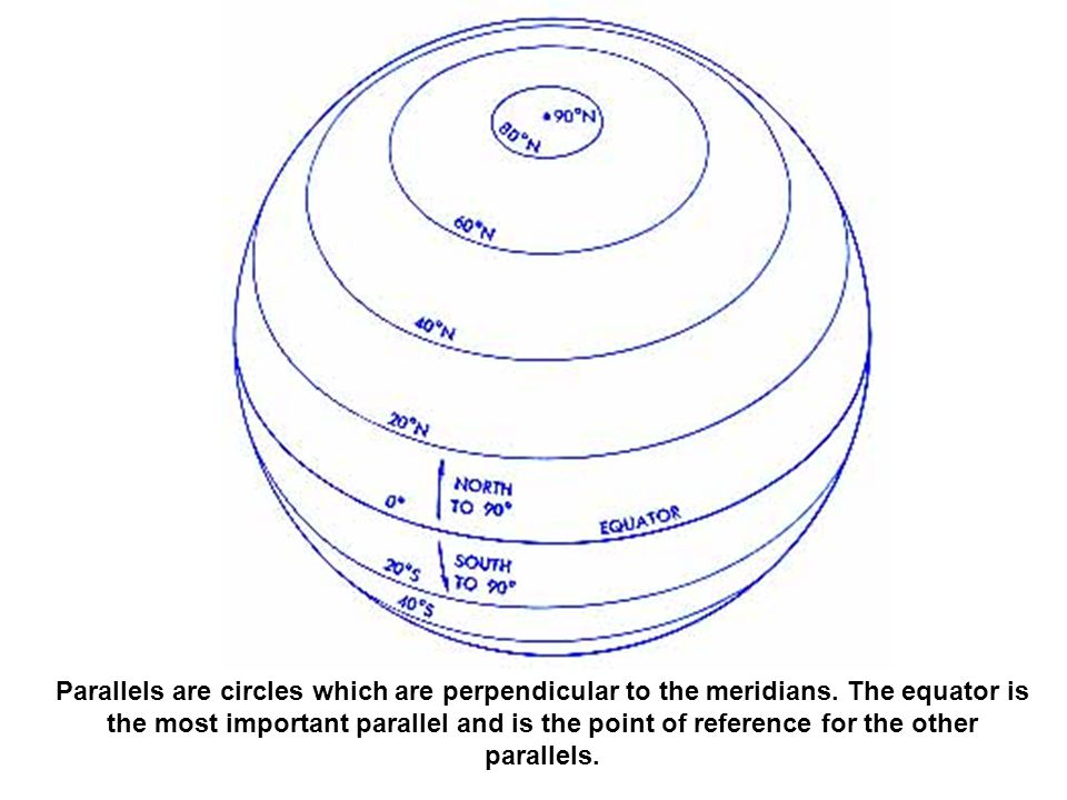 Parallels are circles which are perpendicular to the meridians