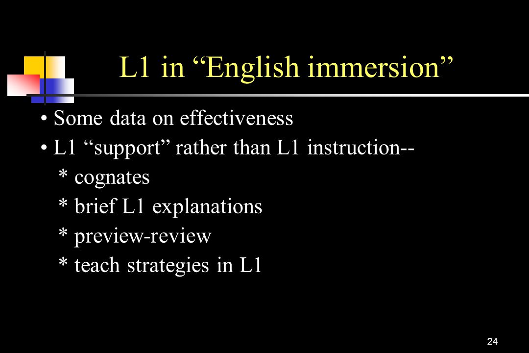 L1 in English immersion
