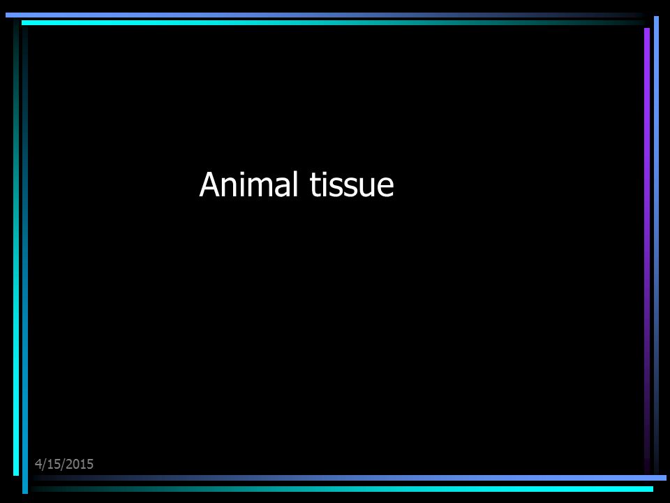 Plant and Animal tissue - ppt video online download