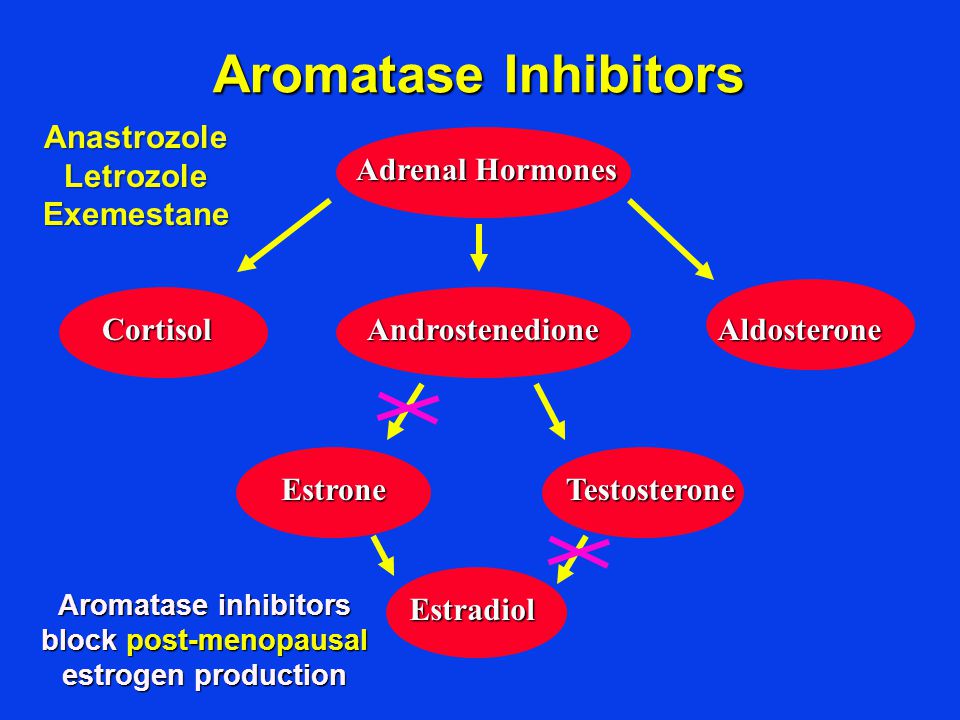Aromatase inhibitors block post-menopausal estrogen production