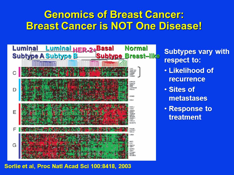 Genomics of Breast Cancer: Breast Cancer is NOT One Disease!