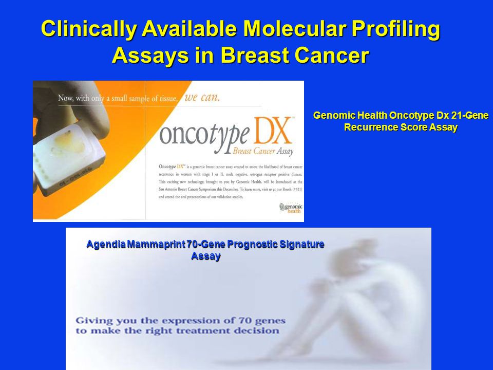 Clinically Available Molecular Profiling Assays in Breast Cancer