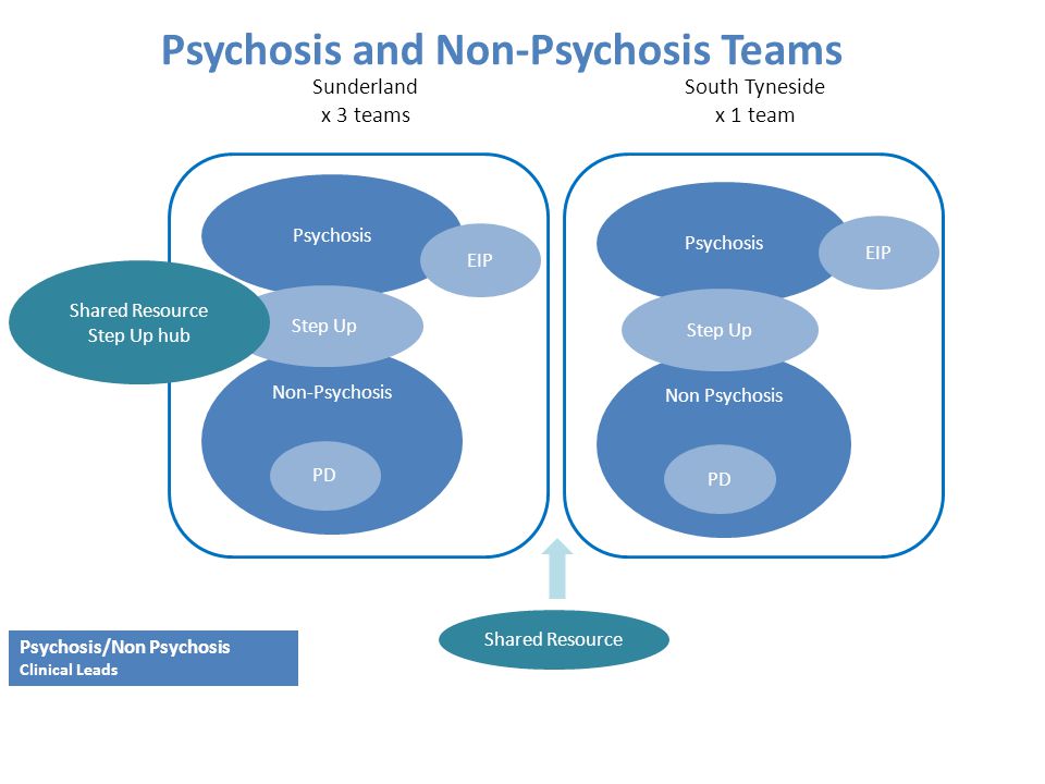 Psychosis and Non-Psychosis Teams