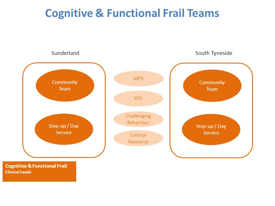 Cognitive & Functional Frail Teams