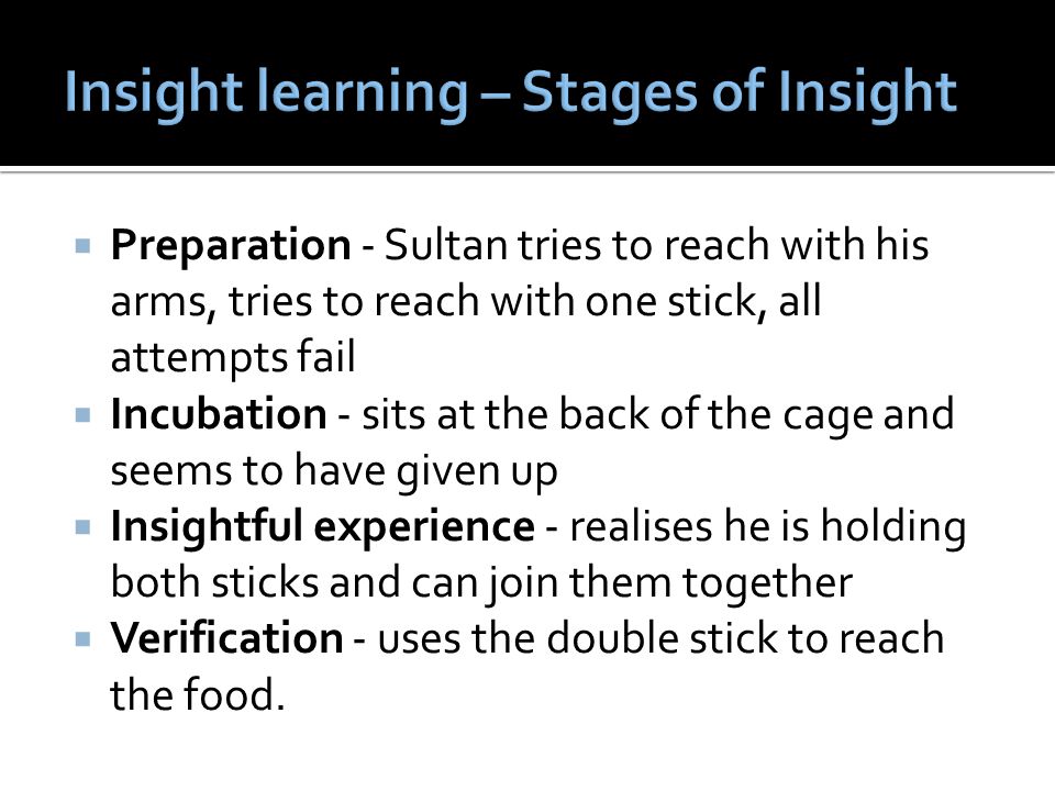 insight learning theory