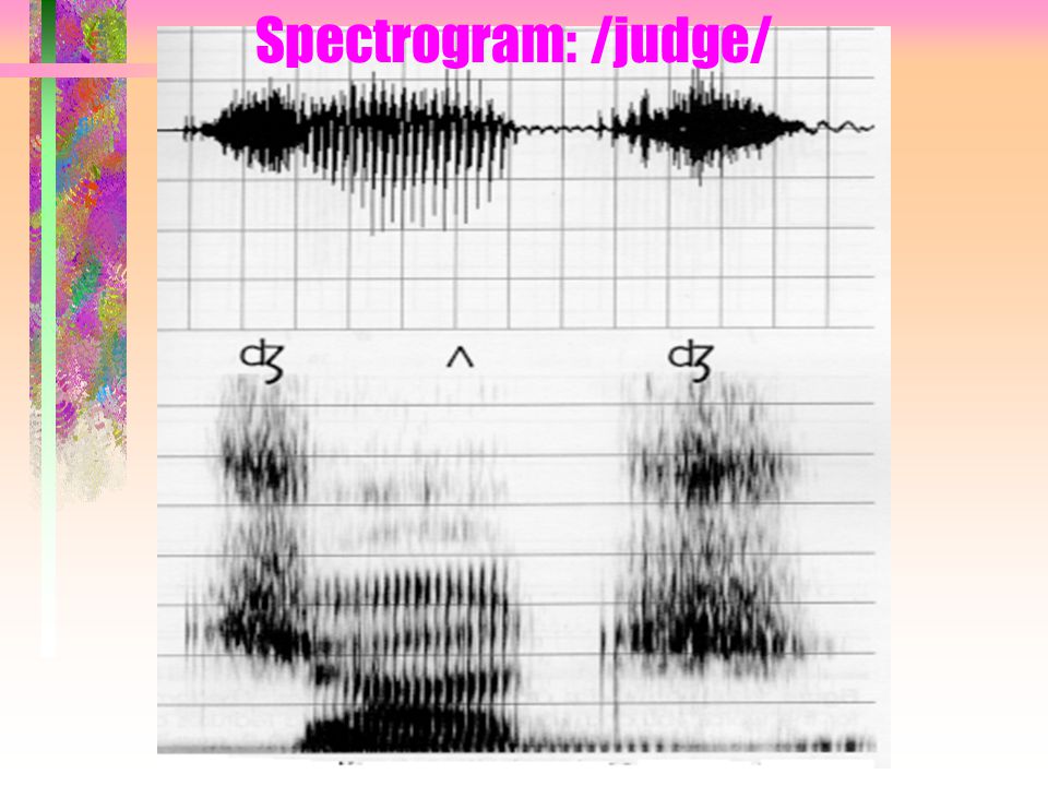 Spectrogram: /judge/