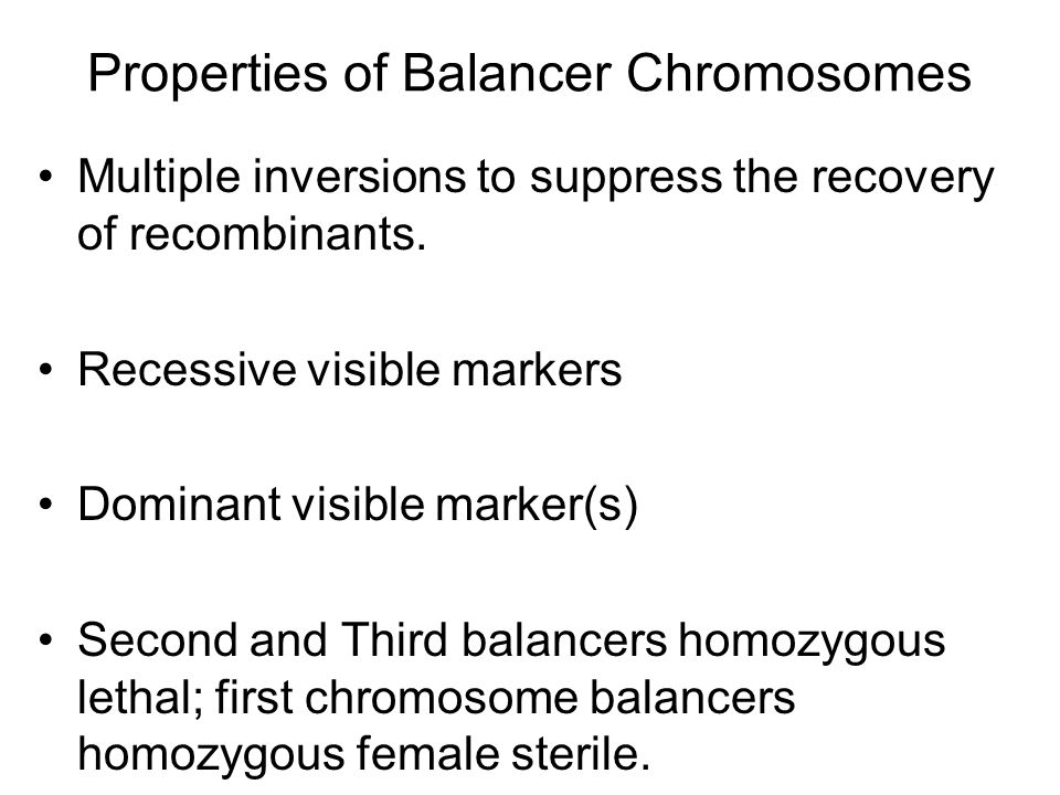 Properties of Balancer Chromosomes