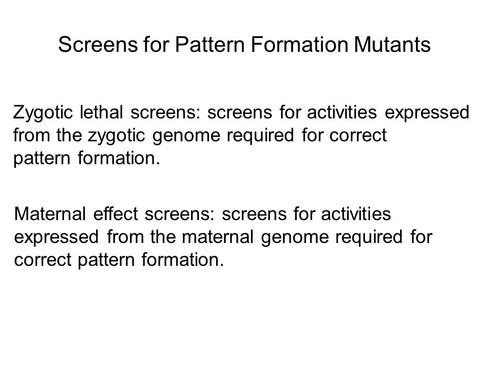 Screens for Pattern Formation Mutants