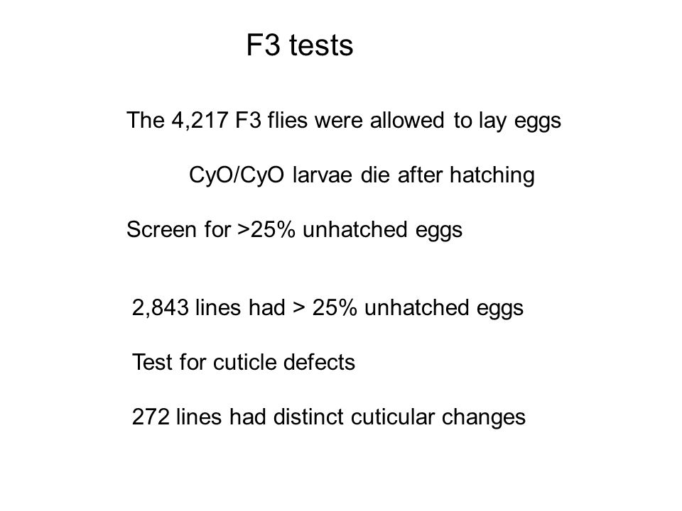 F3 tests The 4,217 F3 flies were allowed to lay eggs
