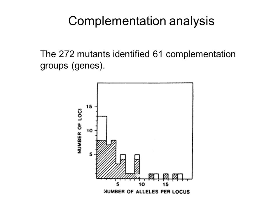 Complementation analysis