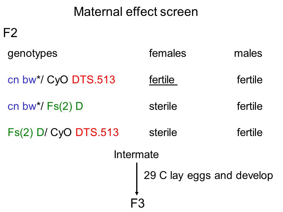 Maternal effect screen