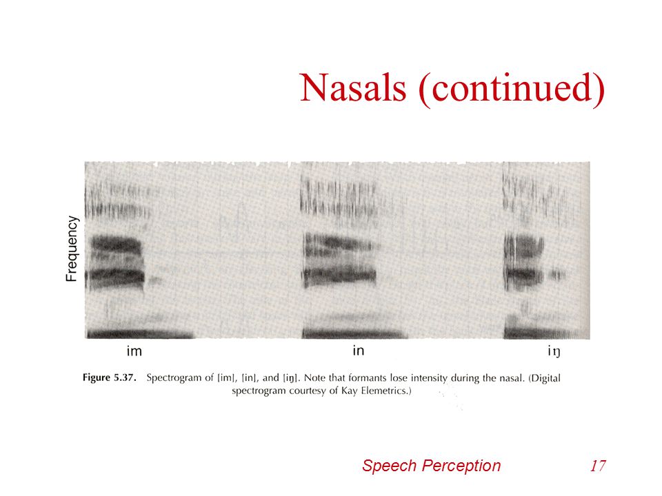 Nasals (continued) Speech Perception