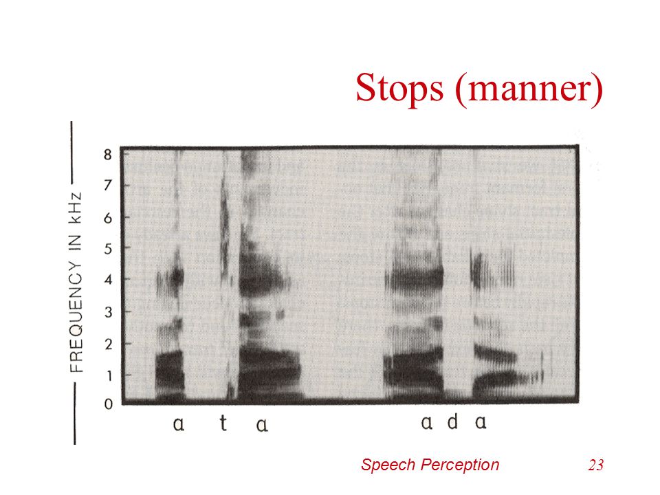 Stops (manner) Speech Perception