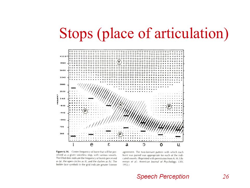 Stops (place of articulation)
