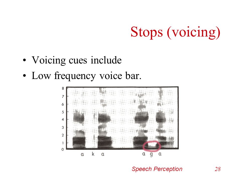 Stops (voicing) Voicing cues include Low frequency voice bar.